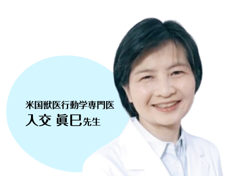 講師 入交眞巳先生